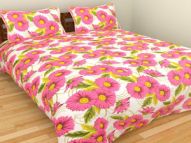 Chrysanthemum